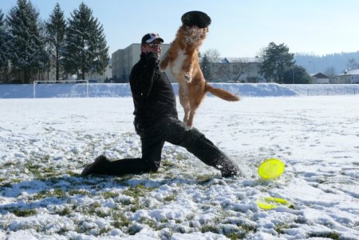 Hundefrisbee im Schnee